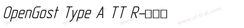 OpenGost Type A TT R字体转换